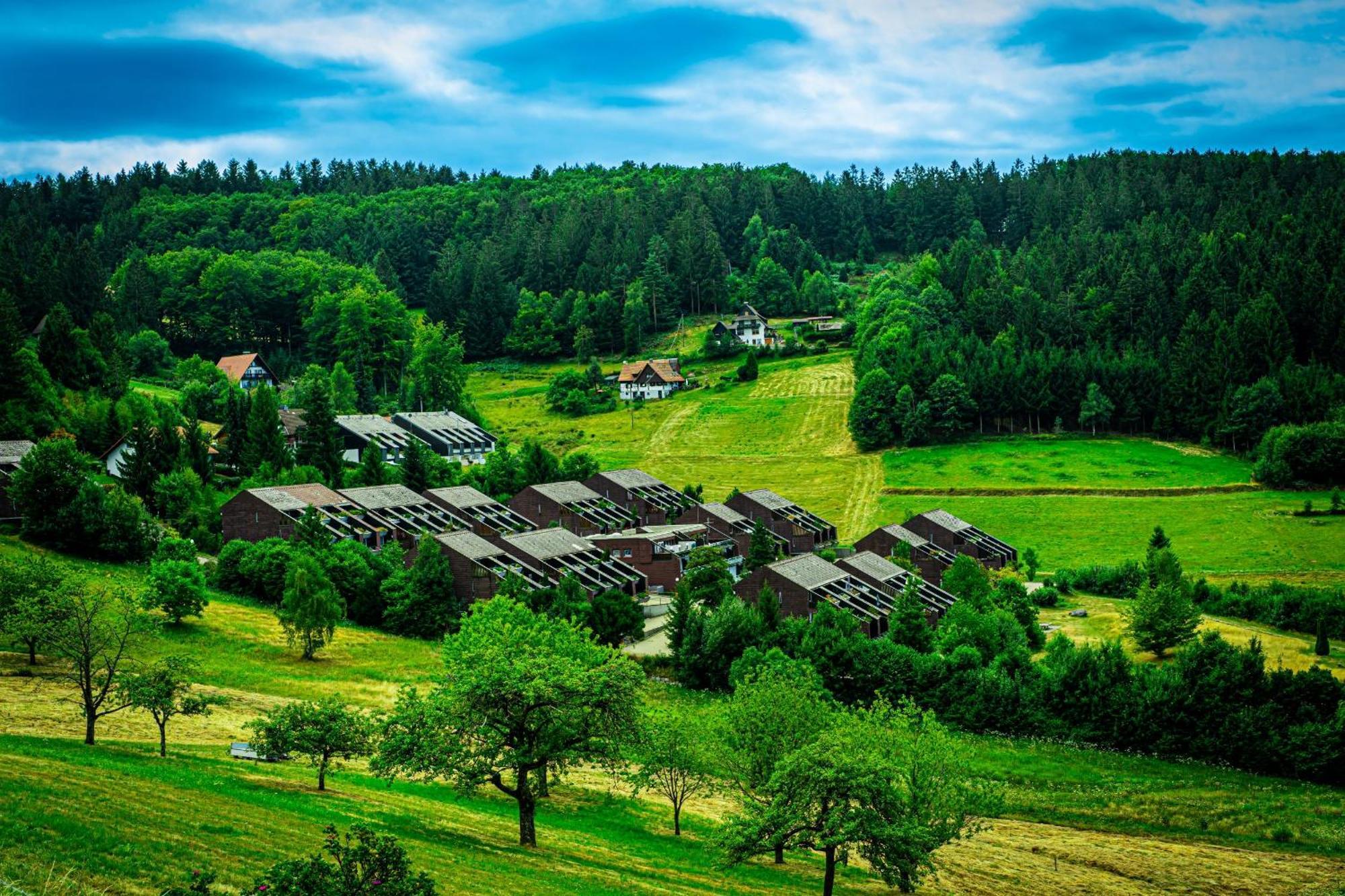 Natur Tanken Im Schwarzwald Sasbachwalden Eksteriør bilde